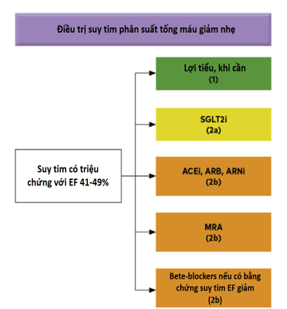 Tác động của HFmrEF đến tim