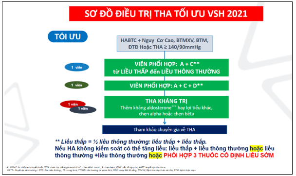 Cơ chế kết hợp Losartan và Amlodipine