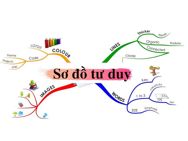 sơ đồ tư duy