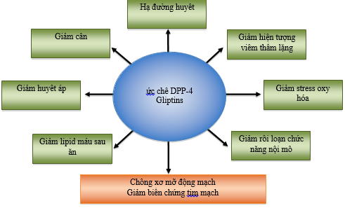 Hiệu quả kiểm soát đường huyết metformin sitagliptin