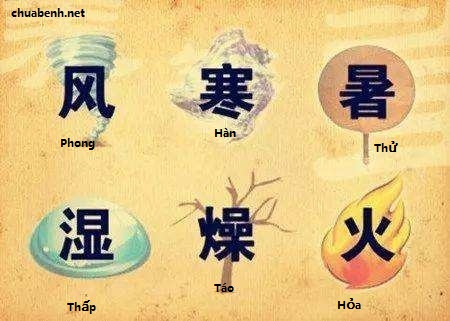 Bài thuốc Đông y trị Thấp Tà