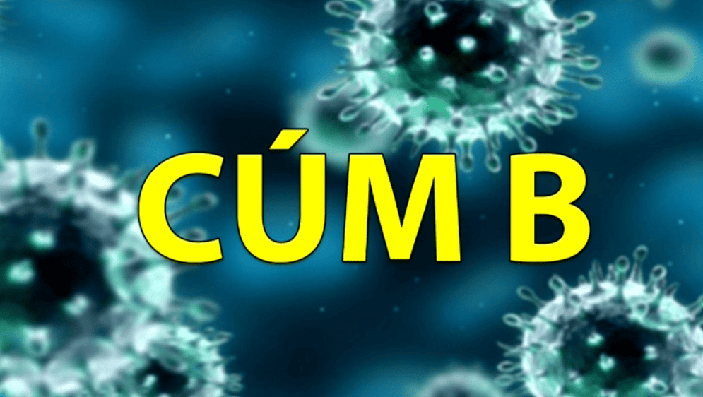 So sánh cúm A và cúm B