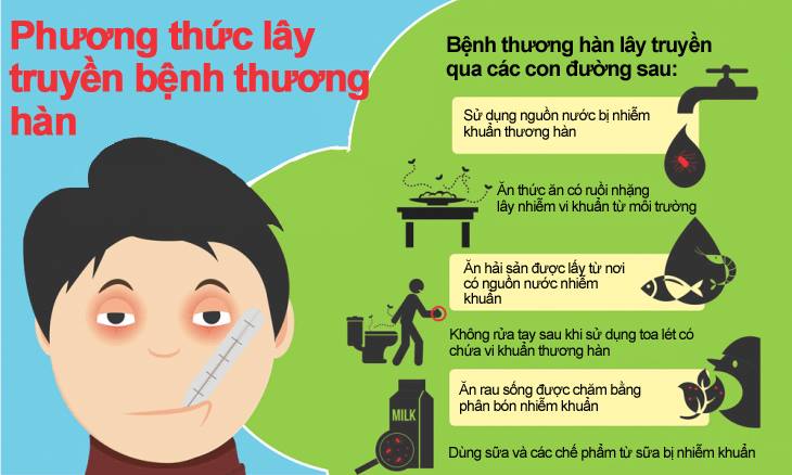 Vi khuẩn Salmonella gây bệnh thương hàn