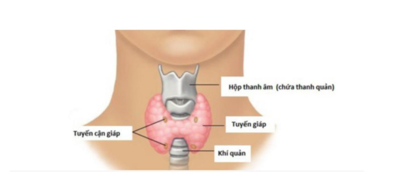 triệu chứng giả suy cận giáp
