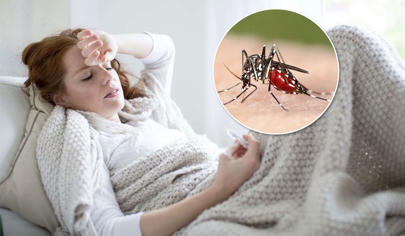 Bệnh sốt rét do ký sinh trùng