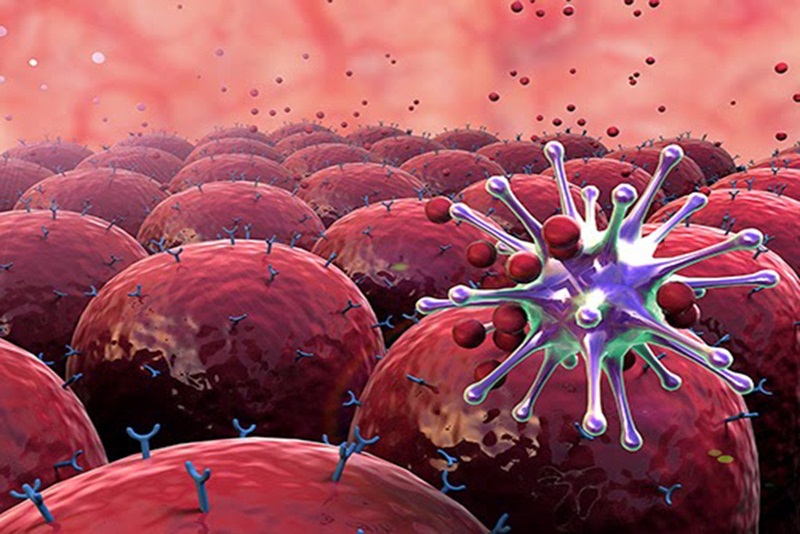 Liên quan lupus và lymphoma