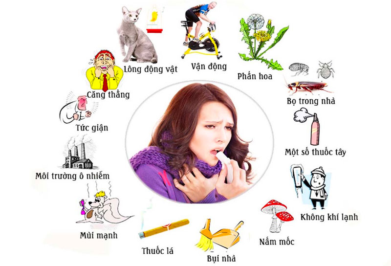 Tác nhân gây dị ứng hen suyễn