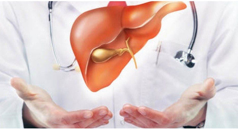 Liên hệ giữa Tạng Can và gan