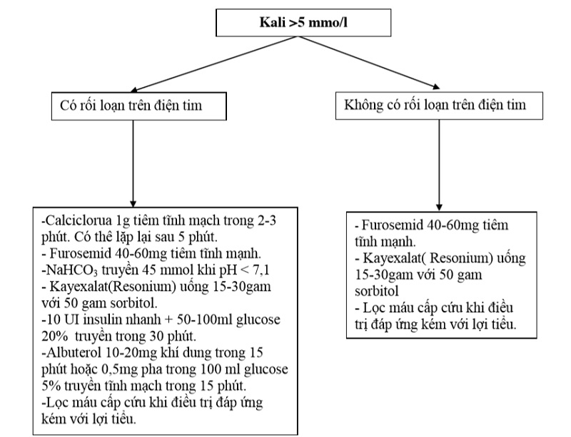 Xử trí tăng kali máu cấp cứu