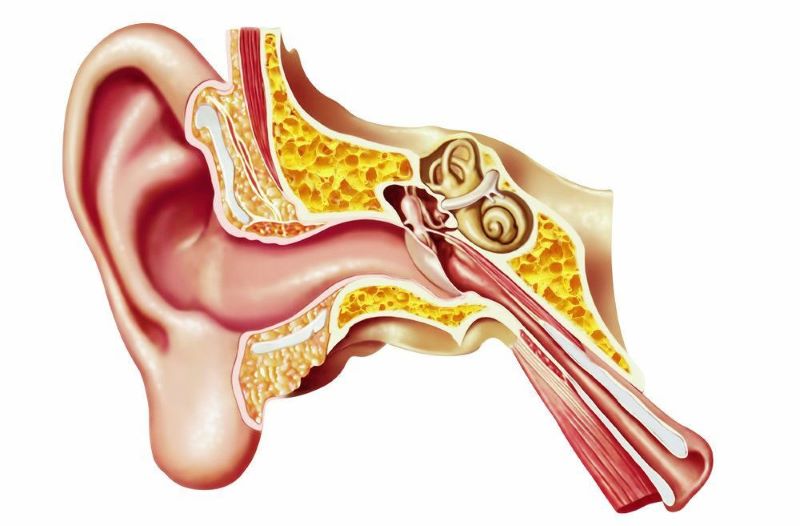 Tổn thương dây thần kinh tiền đình trung ương