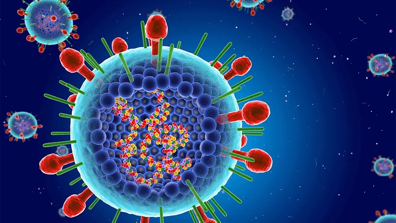 Virus hợp bào hô hấp RSV là gì