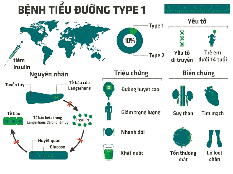 tiểu đường type 1 là gì