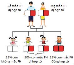 Cơ chế ABCA1 và HDL