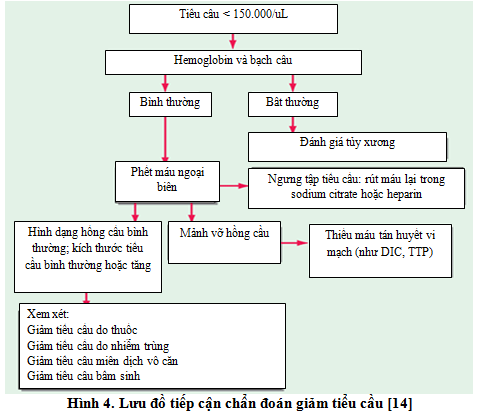 Biến chứng huyết khối trong HIT