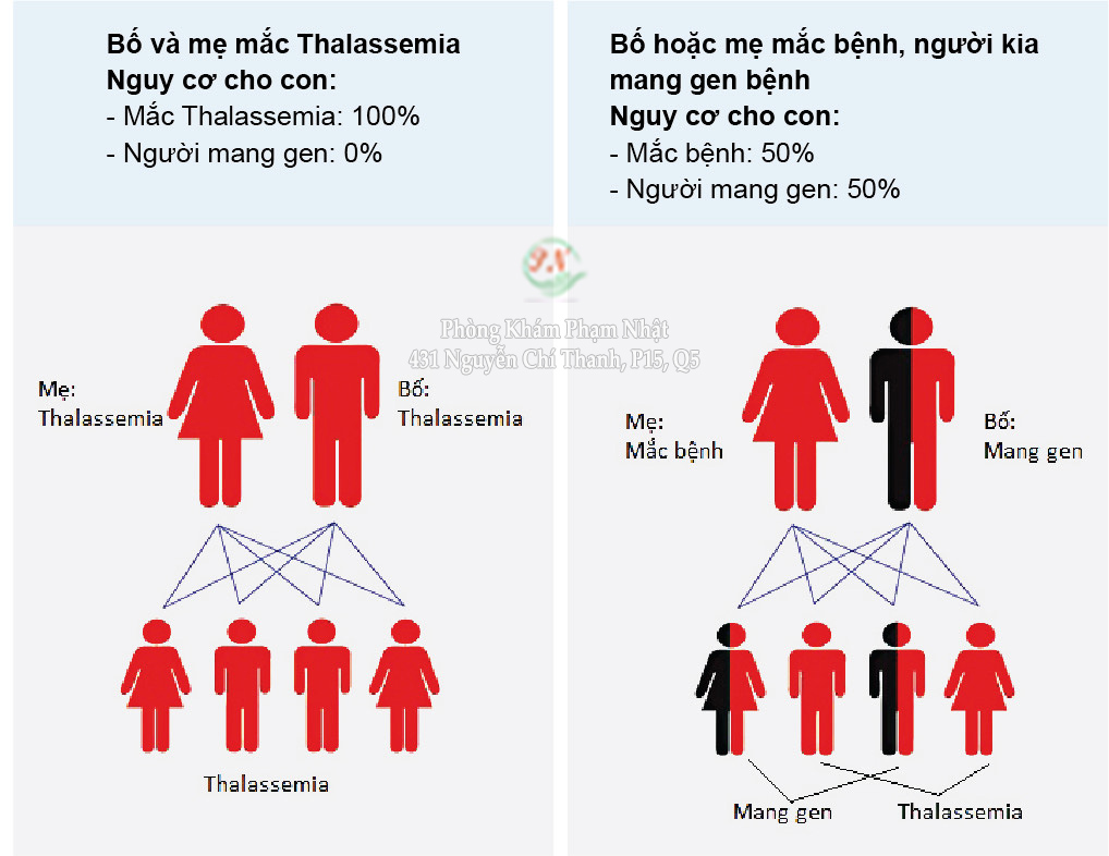 Bệnh Hemoglobin H (HbH): Nguyên nhân, Triệu chứng, Chẩn đoán và Hướng Điều Trị Mới Nhất 8 Ảnh bệnh lý Thalassemia ở phụ nữ mang thai