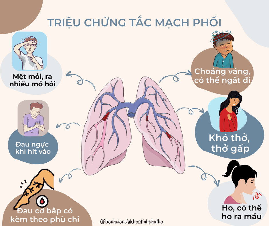 tac-mach-phoi-trieu-chung.jpg