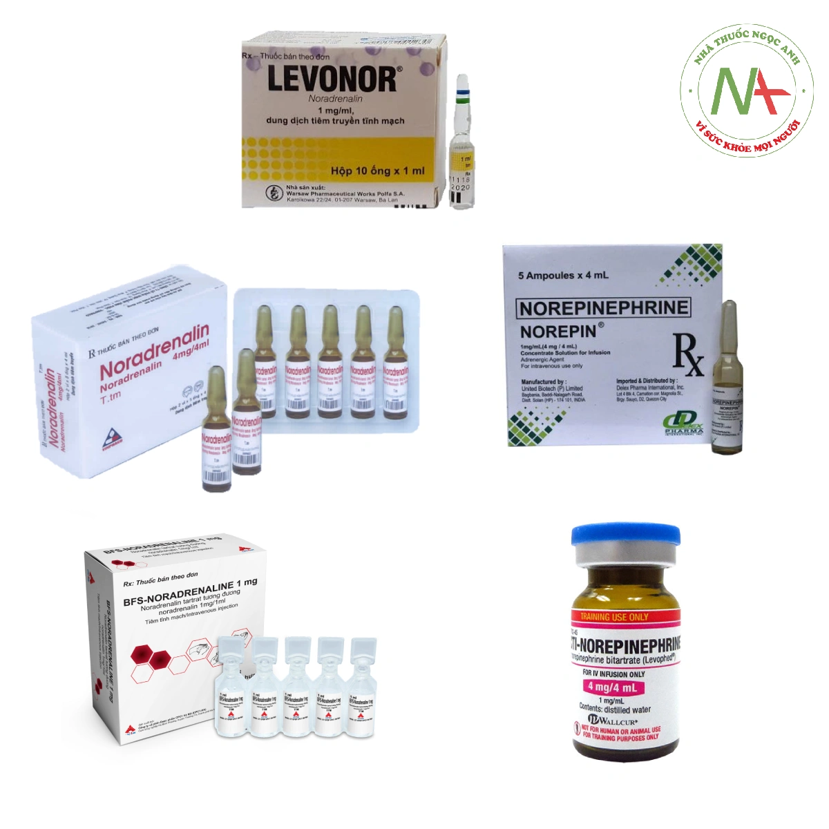 Dạng bào chế norepinephrine