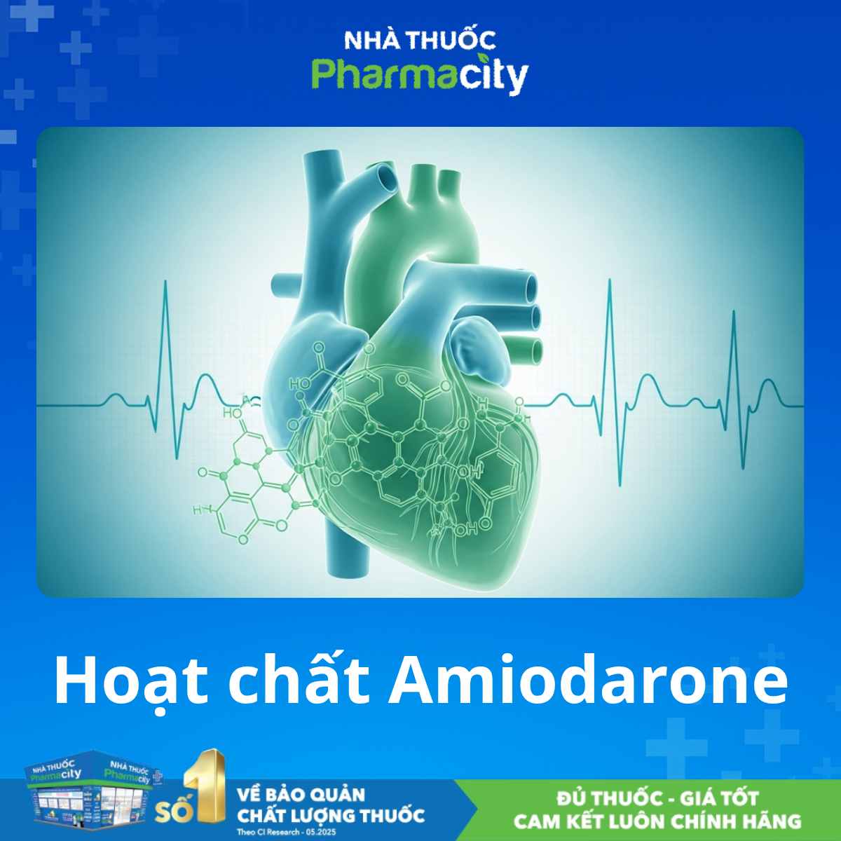 Amiodarone: Thuốc Chống Loạn Nhịp Phức Tạp và Hiệu Quả 8 Cơ chế hoạt động của Amiodarone