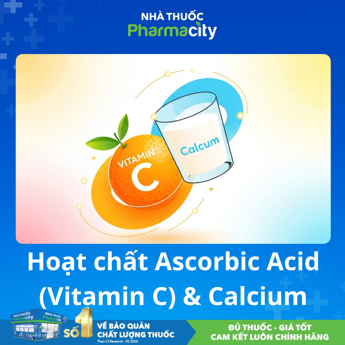 Hình minh họa quá trình hấp thu canxi nhờ vitamin C