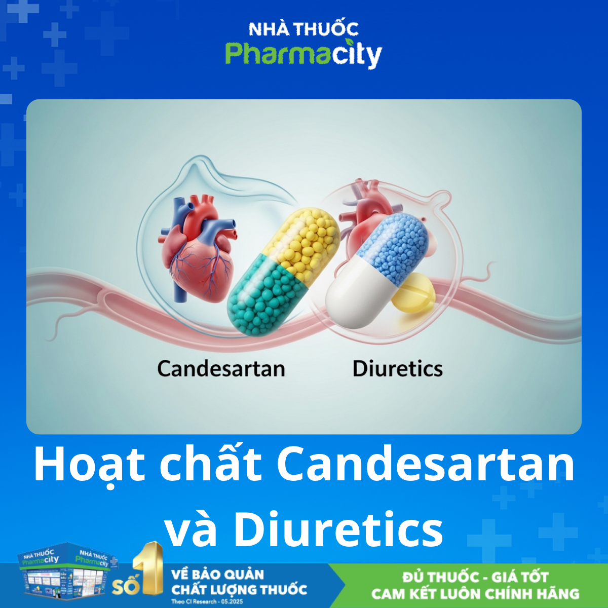 Candesartan: Thuốc ARB Mạnh Mẽ và Hiệu Quả Kéo Dài 8 Candesartan phối hợp thuốc lợi tiểu