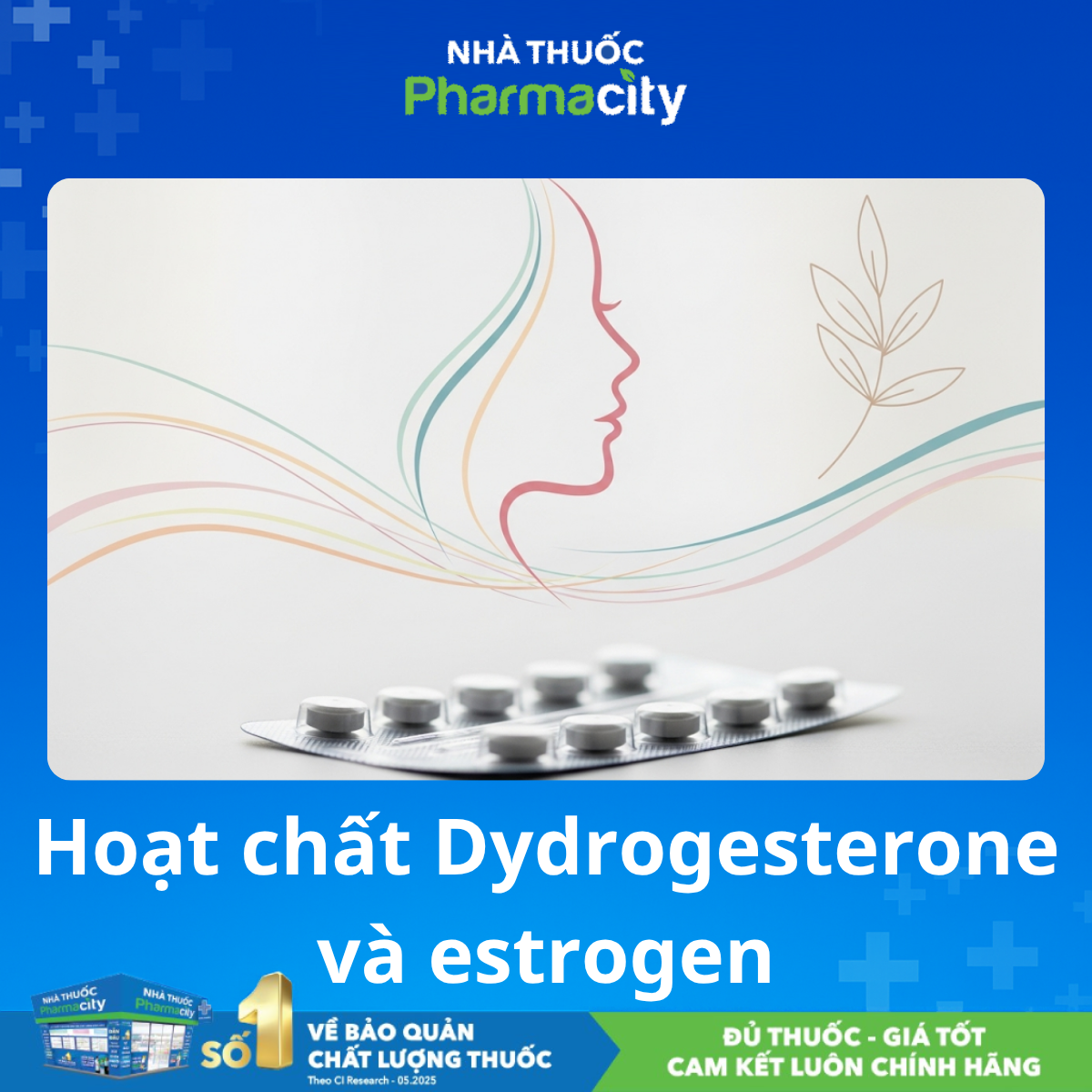 dydrogesterone và estrogen