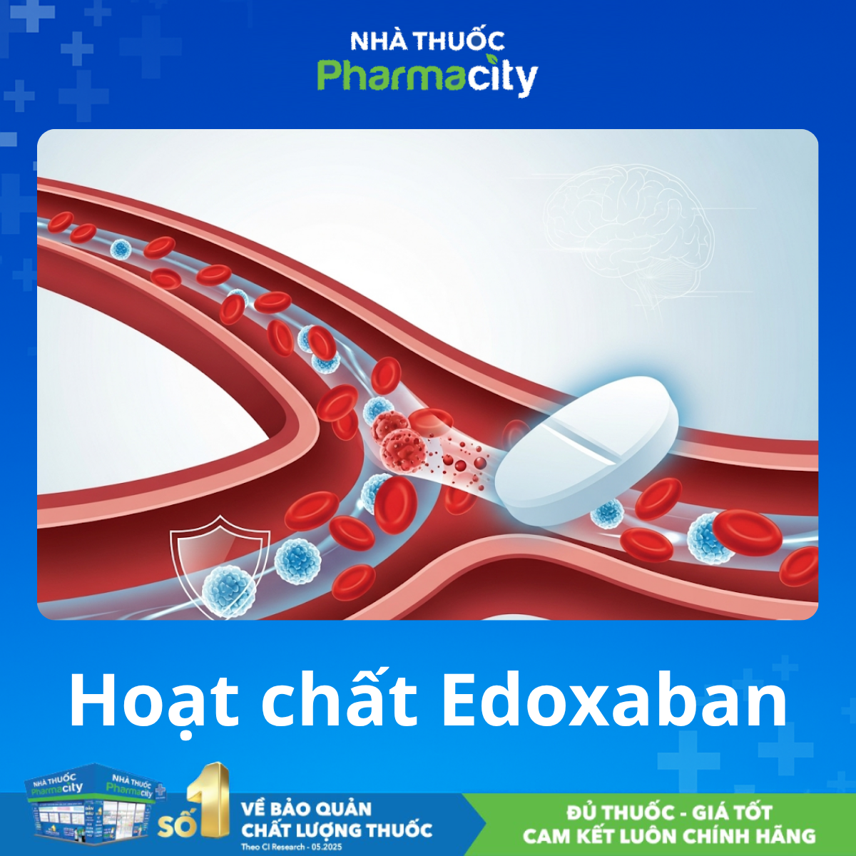 Cơ chế tác dụng Edoxaban
