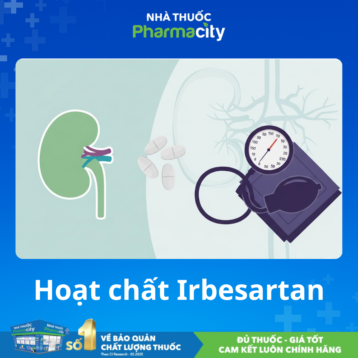 Irbesartan: Bảo Vệ Thận Hiệu Quả Cho Bệnh Nhân Đái Tháo Đường 8 Cơ chế tác dụng của Irbesartan