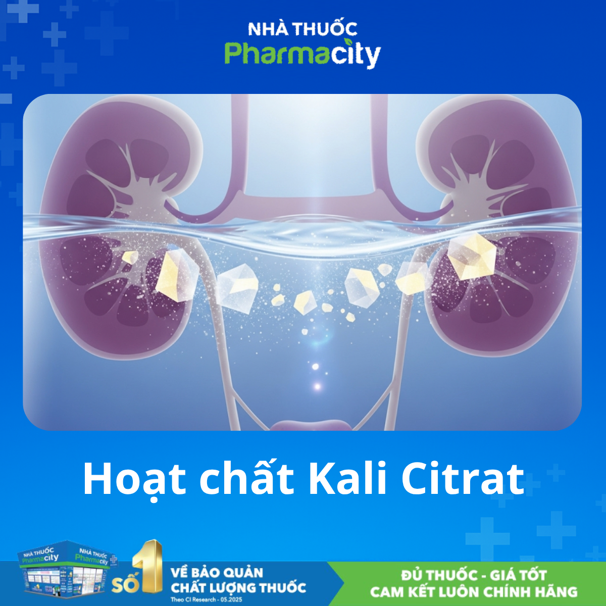 Cơ chế kiềm hóa nước tiểu