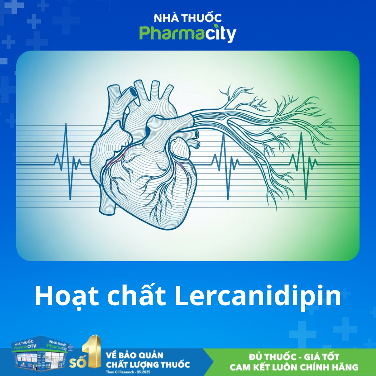 Hoạt chất Lercanidipine