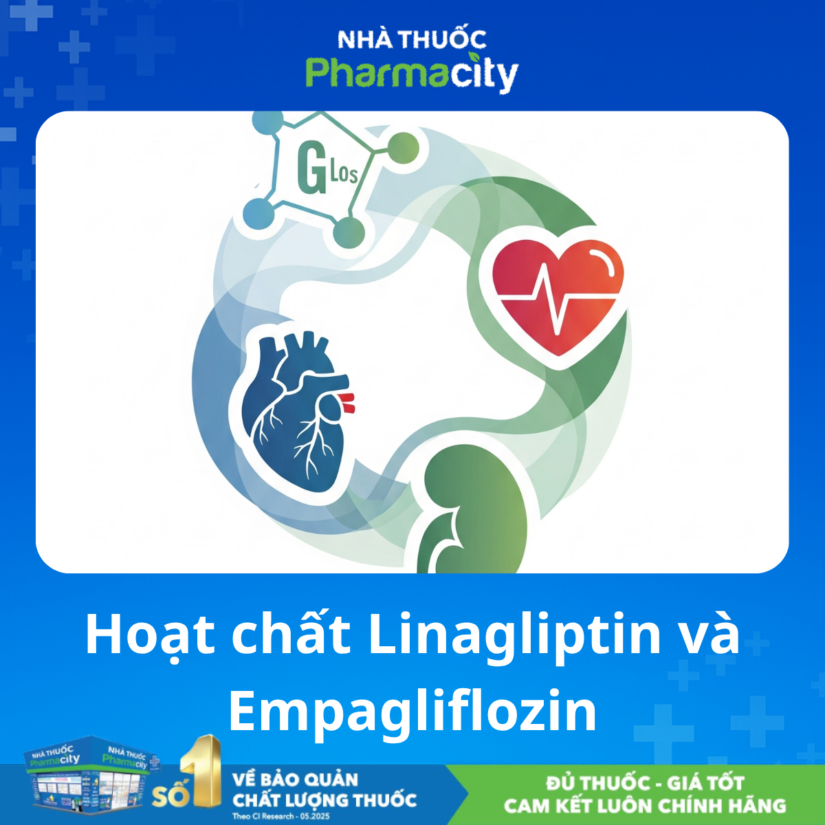 Cơ chế Linagliptin và Empagliflozin