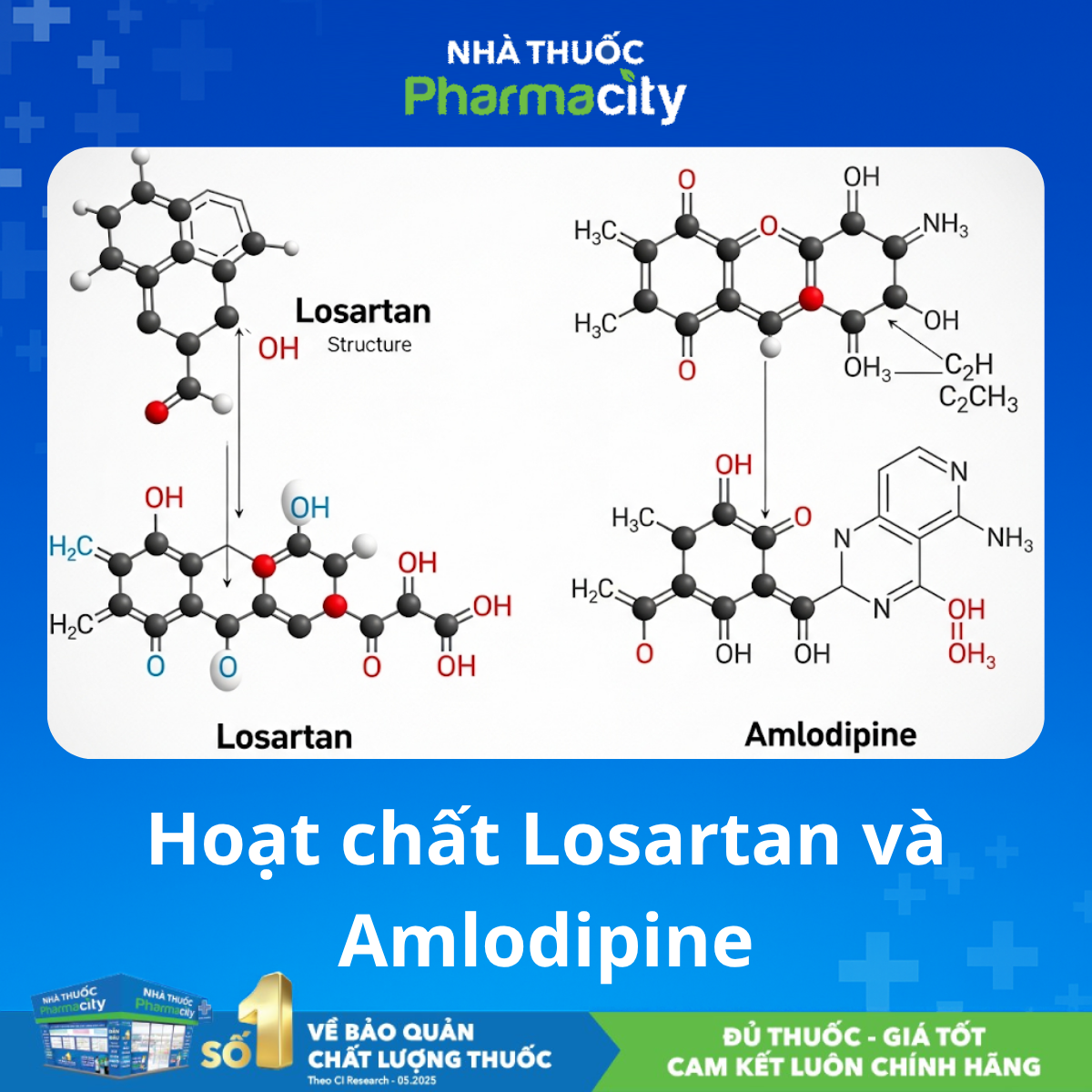 Hoạt chất Losartan và Amlodipine