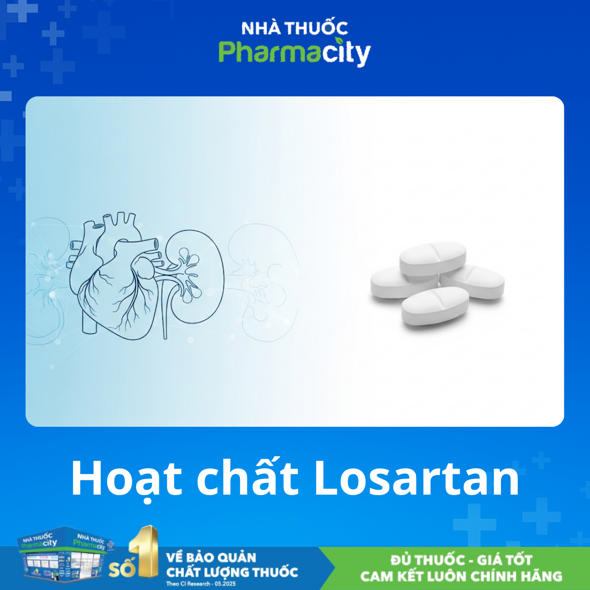 Hoạt chất Losartan