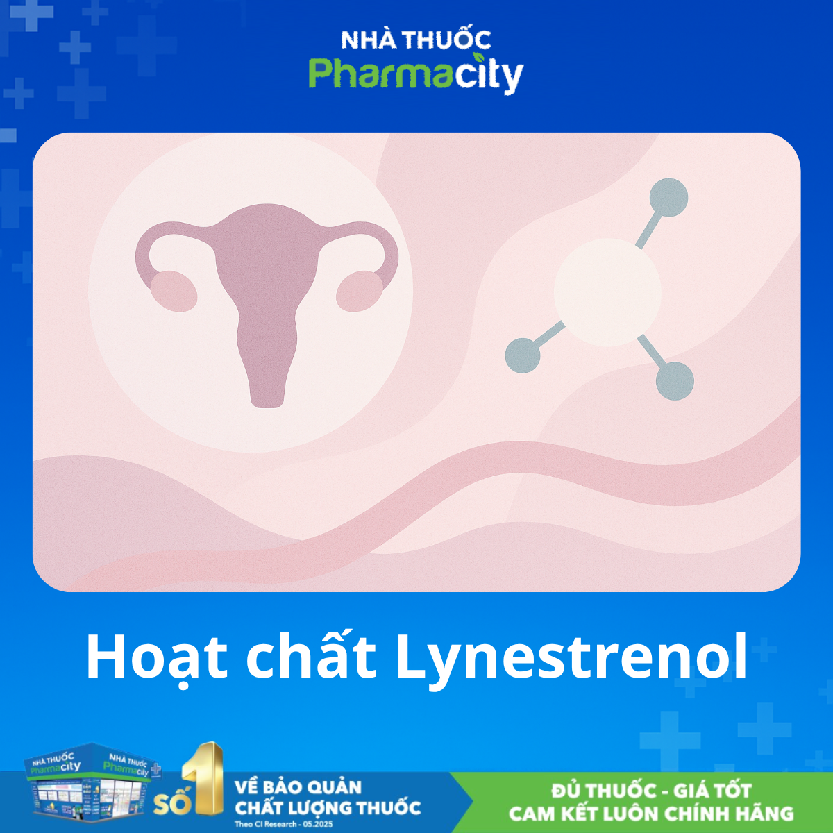 Cơ chế tác dụng Lynestrenol