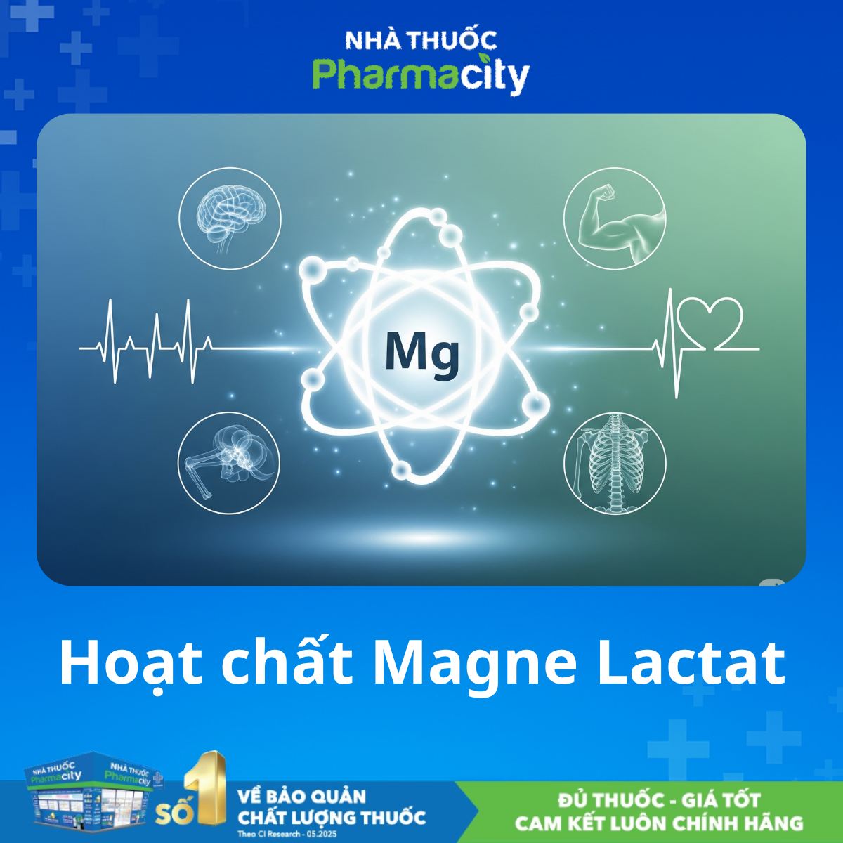 Magie Lactate là gì?