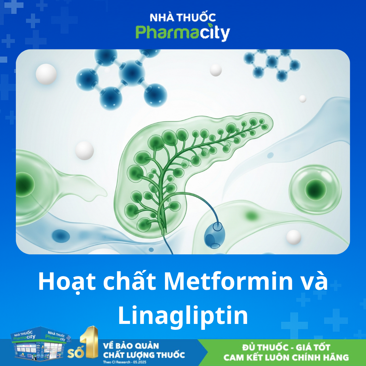 Hoạt chất Linagliptin và Metformin