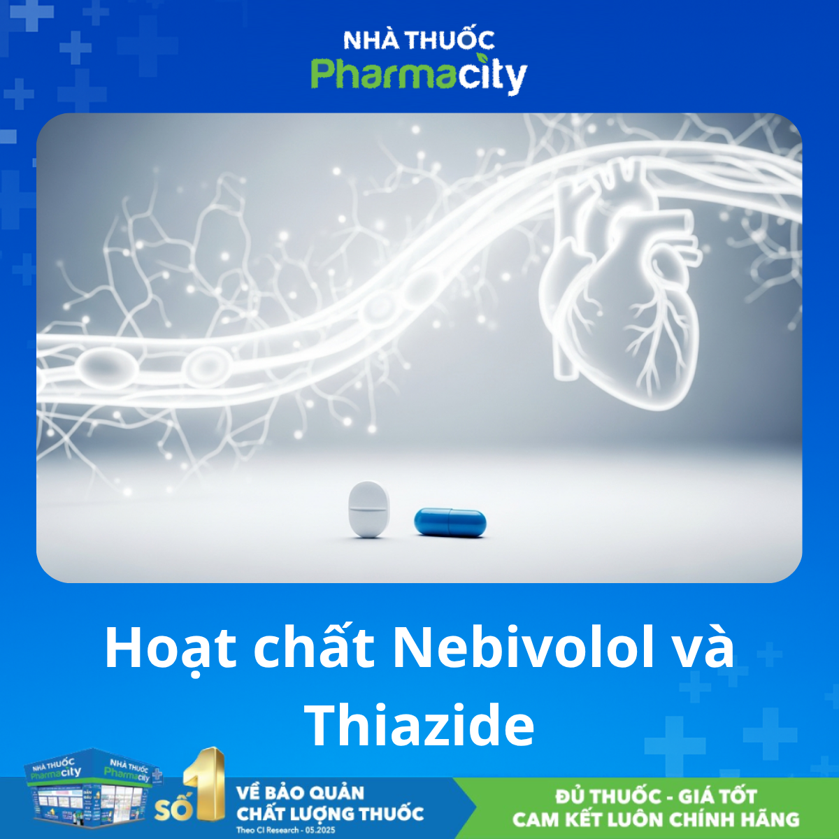 Kết Hợp Nebivolol và Lợi Tiểu: Tăng Cường Hiệu Quả Hạ Áp 8 Cơ chế phối hợp Nebivolol và lợi tiểu