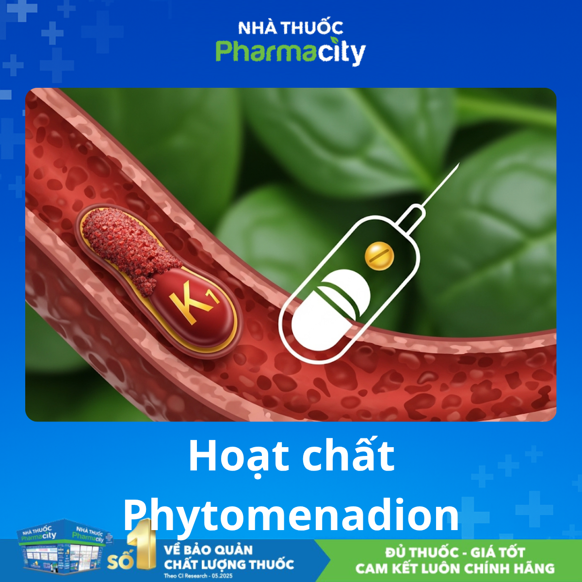 Phytomenadione là gì