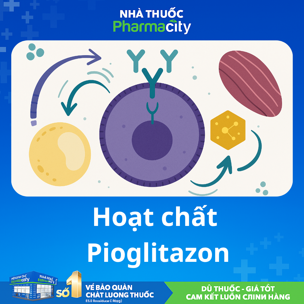 Hoạt chất Pioglitazone