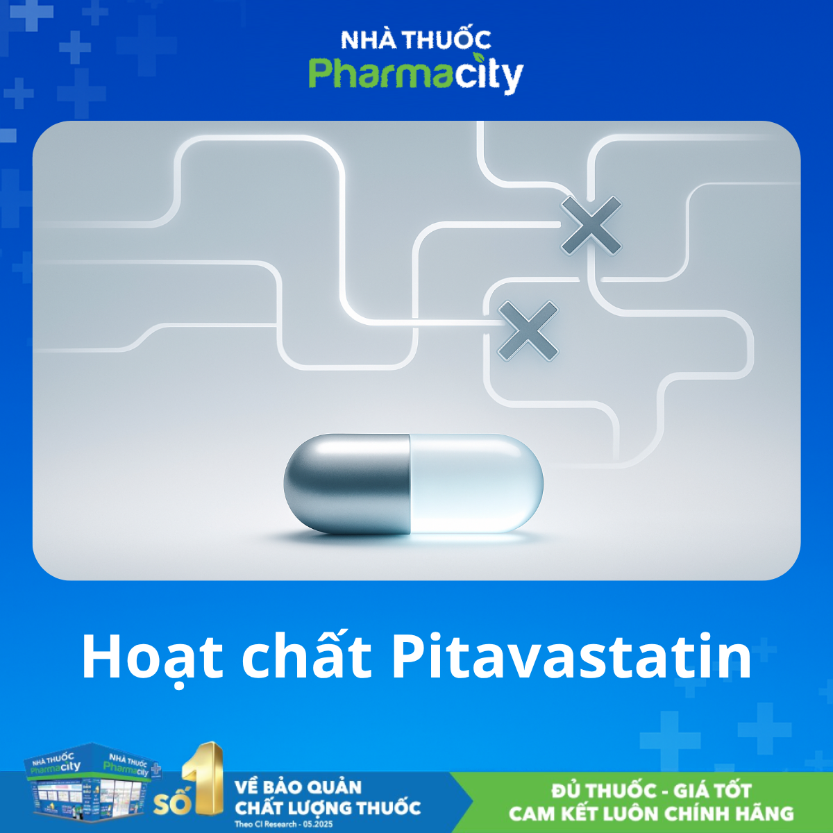 Pitavastatin hoạt chất