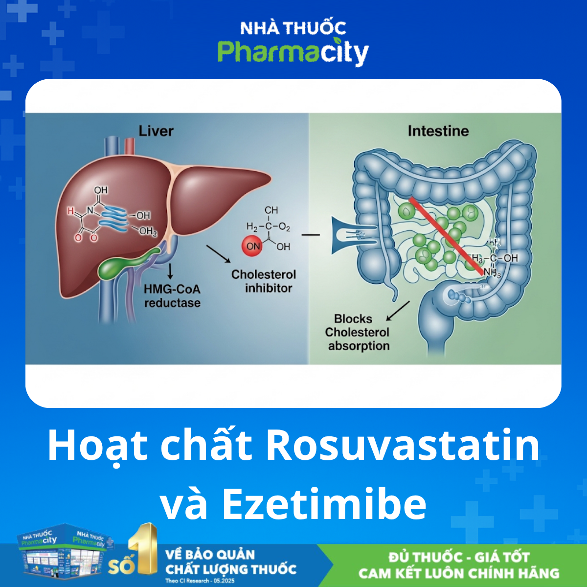 Ezetimibe và Rosuvastatin