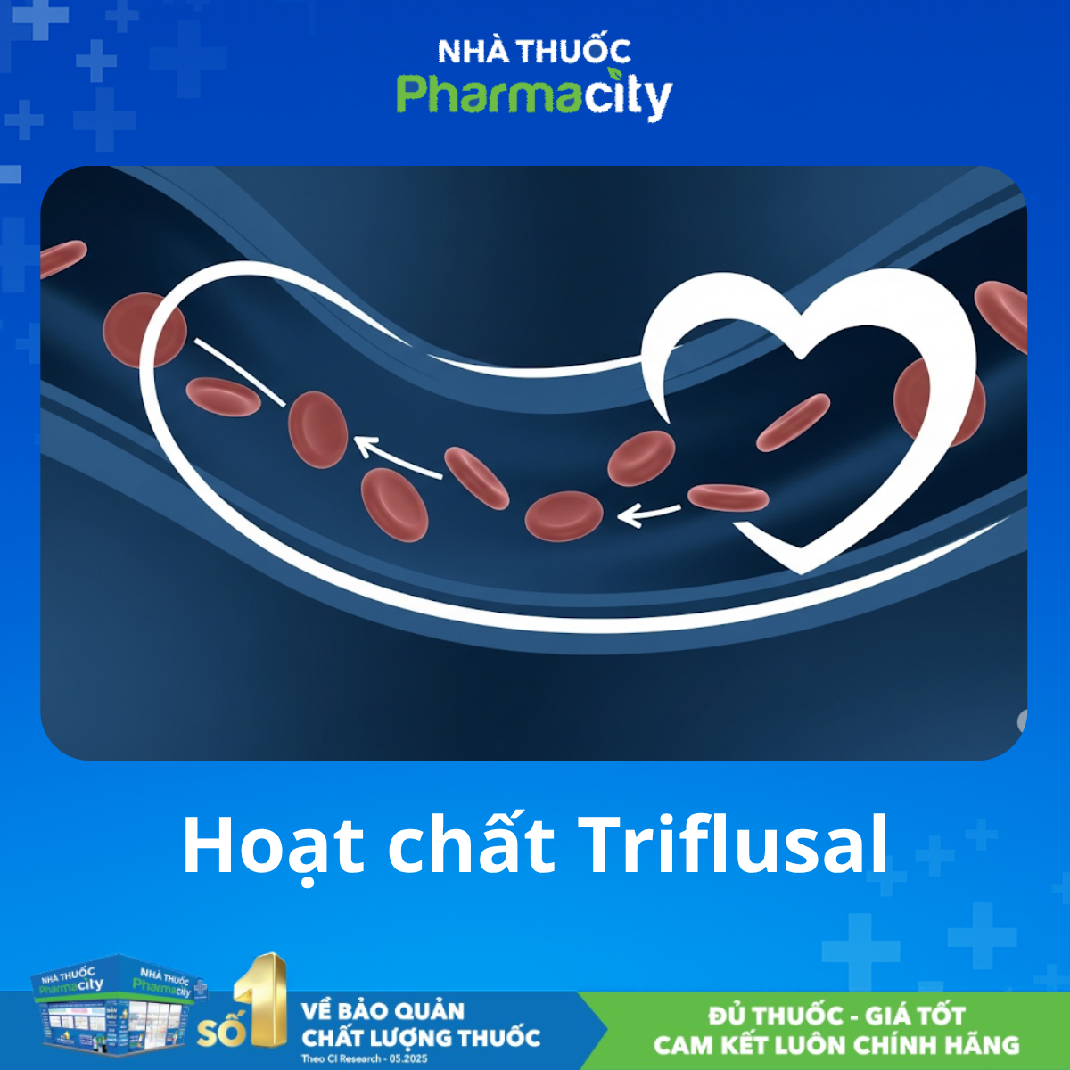 Triflusal: Lựa Chọn Thay Thế Clopidogrel hoặc Aspirin 7 Cơ chế hoạt động của thuốc Triflusal