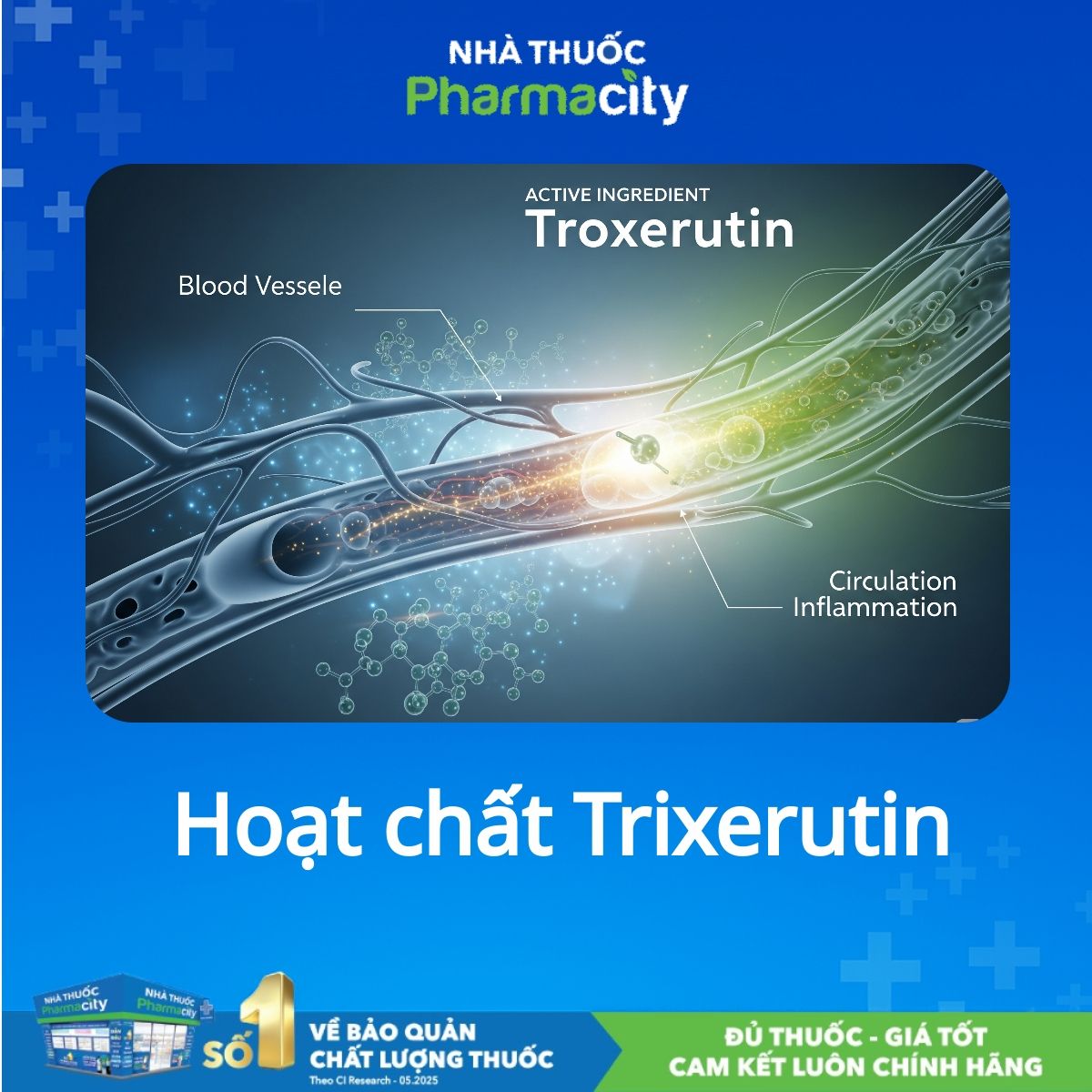 Troxerutin dạng viên nang