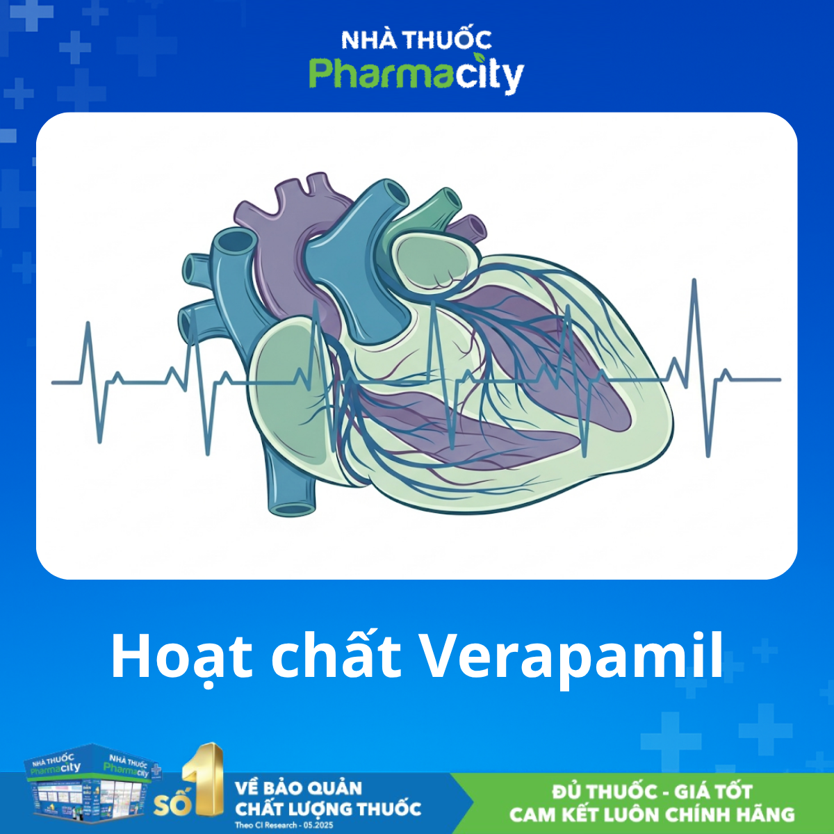 Hoạt chất Verapamil