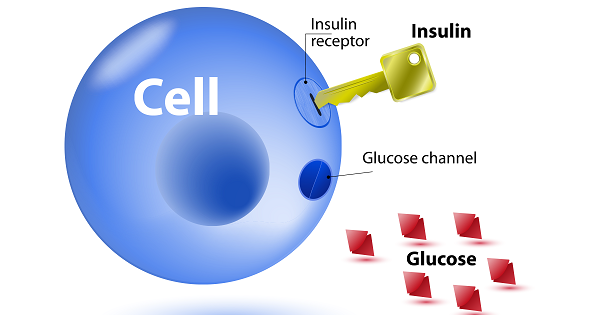 co-che-insulin