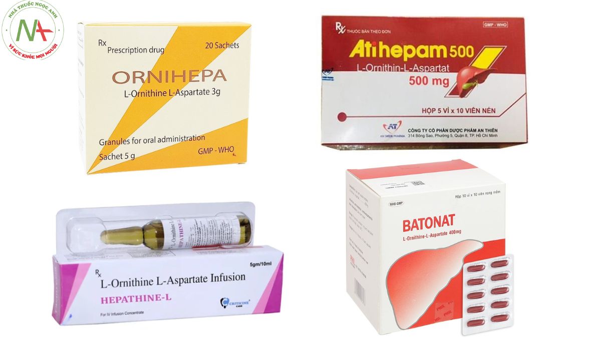 L-ornithine L-aspartate (LOLA): Vai Trò Trong Điều Trị Bệnh Não Gan 7 thuốc LOLA trong điều trị não gan