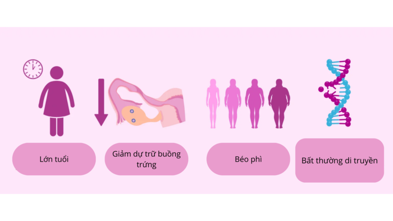 Phụ nữ lớn tuổi và nguy cơ buồng trứng trống