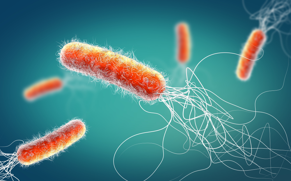 Hình ảnh vi khuẩn Pseudomonas aeruginosa