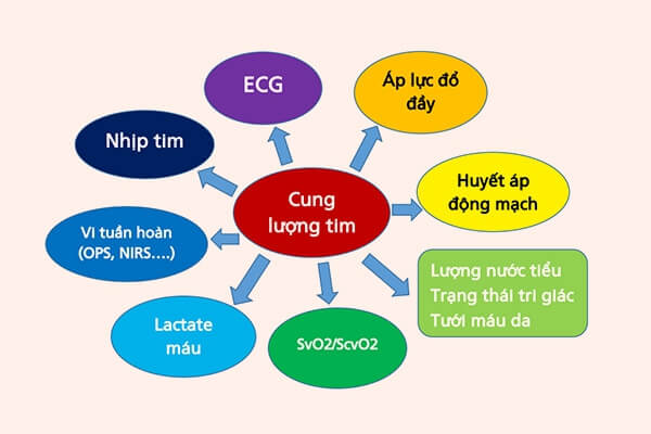 Suy tim cung lượng cao