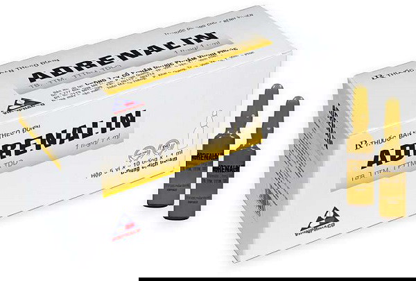 Epinephrine (Adrenaline): Hormone Cứu Mạng trong Sốc Phản Vệ 7 epinephrine la gi