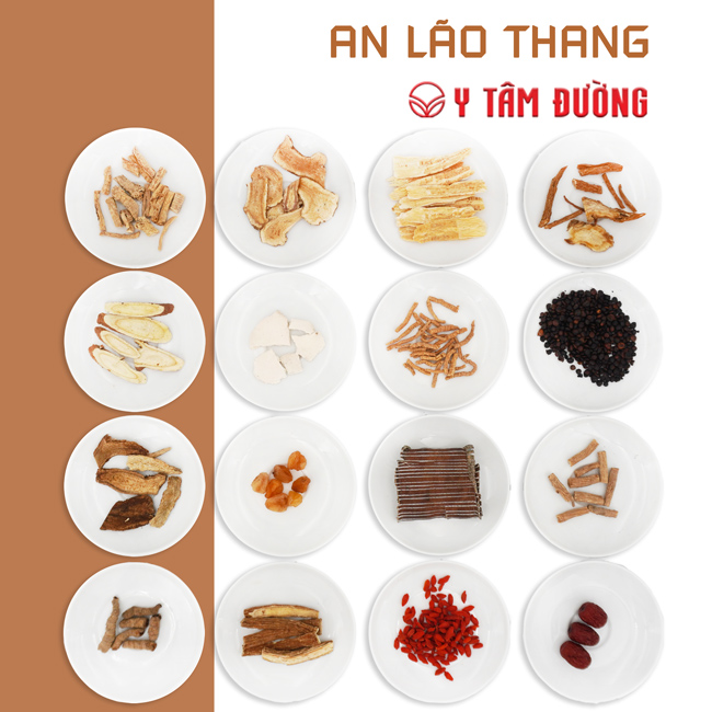 thảo dược bổ khí